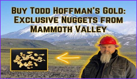 Unveiling The Gold Mine Of Todd Hoffman's Financial Empire